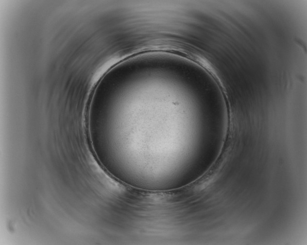 X0000099450803200805161021