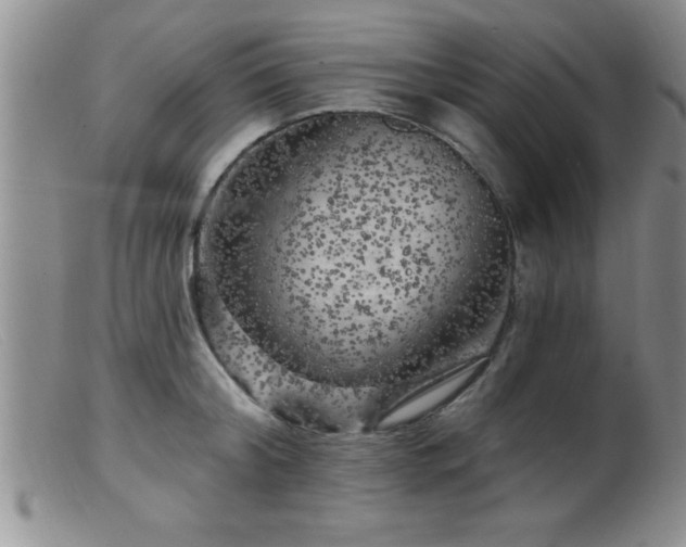 X0000099450804200805161021