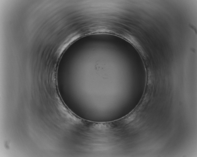 X0000099450806200805161021