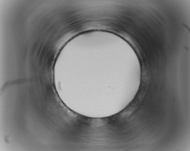 X0000099450807200805161021