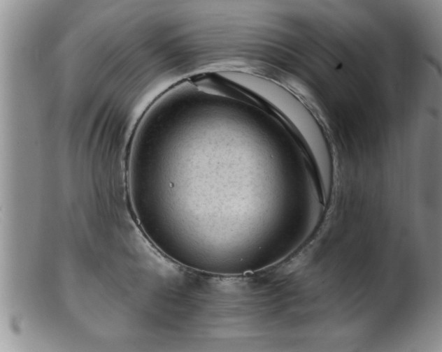 X0000099450808200805161021