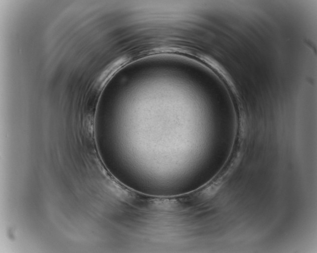 X0000099450809200805161021