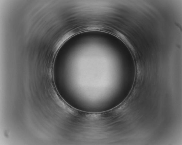 X0000099450810200805161021