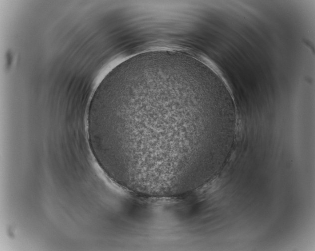 X0000099450811200805161021