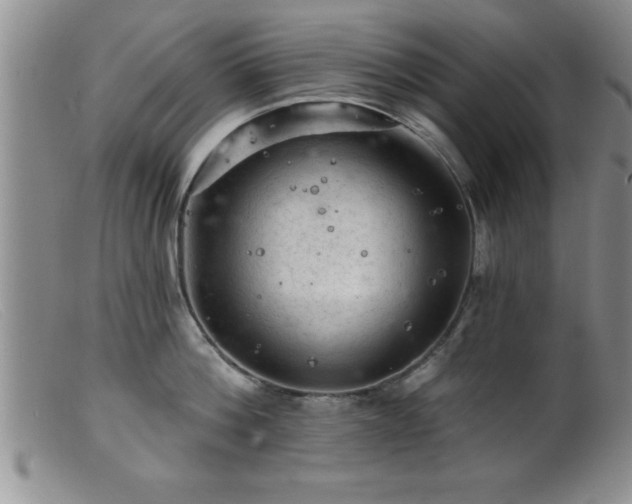 X0000099450812200805161020