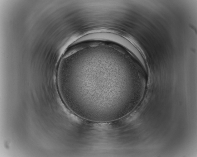 X0000099450813200805161020