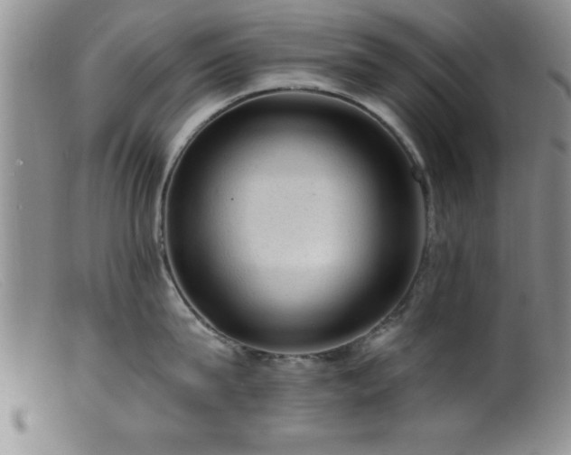 X0000099450815200805161020