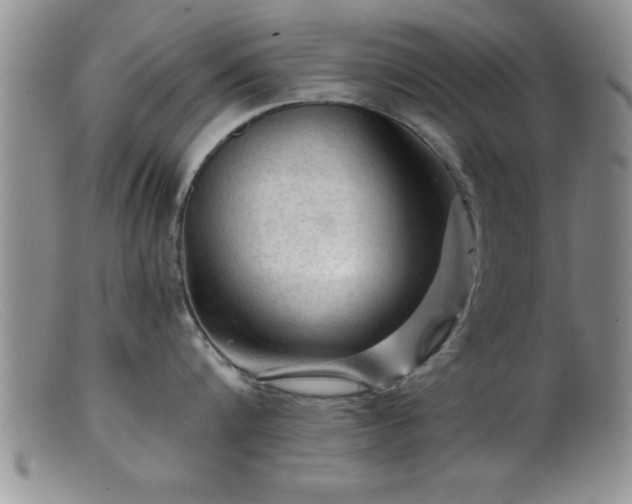 X0000099450816200805161020