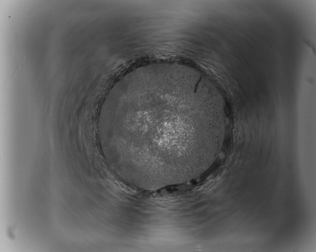 X0000099450817200805161020