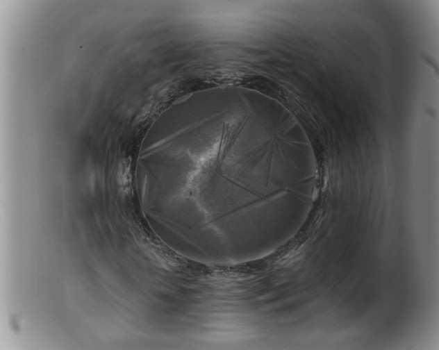 X0000099450818200805161020