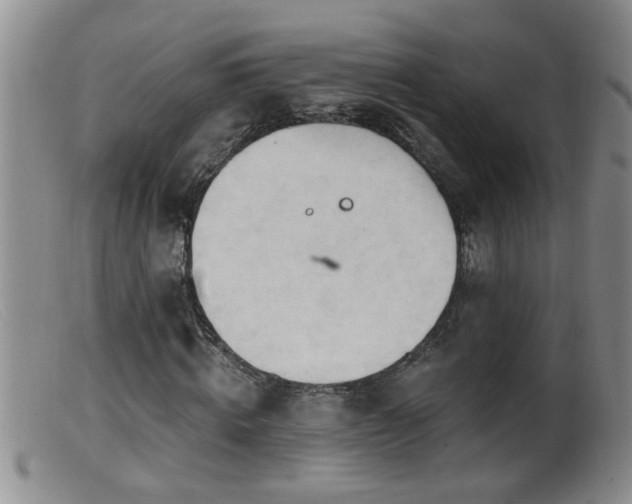 X0000099450820200805161020