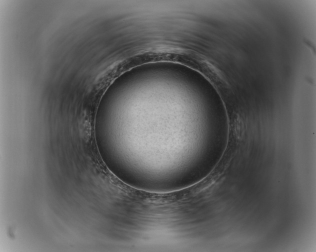 X0000099450821200805161020