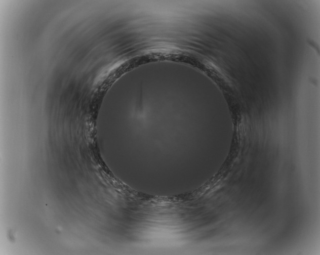 X0000099450822200805161020