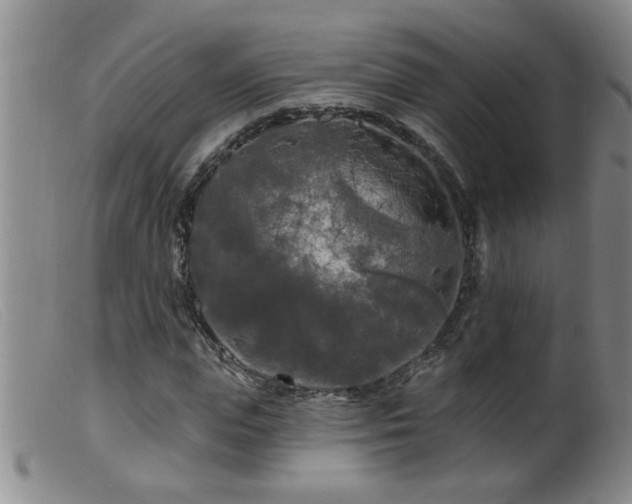 X0000099450823200805161020