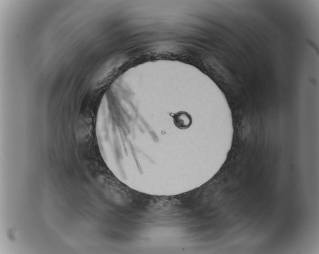 X0000099450824200805161020