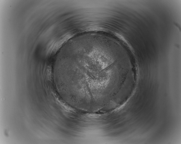 X0000099450825200805161020