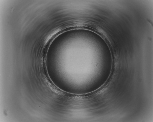 X0000099450827200805161020