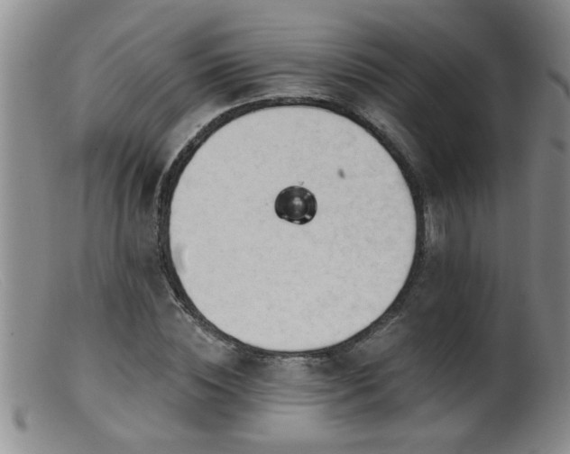 X0000099450828200805161020