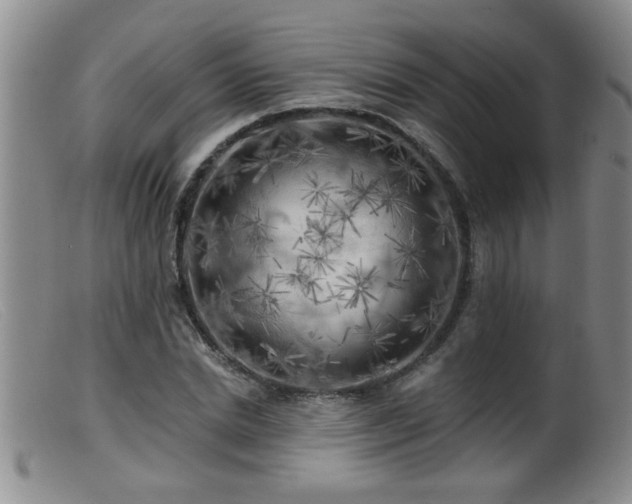 X0000099450830200805161020