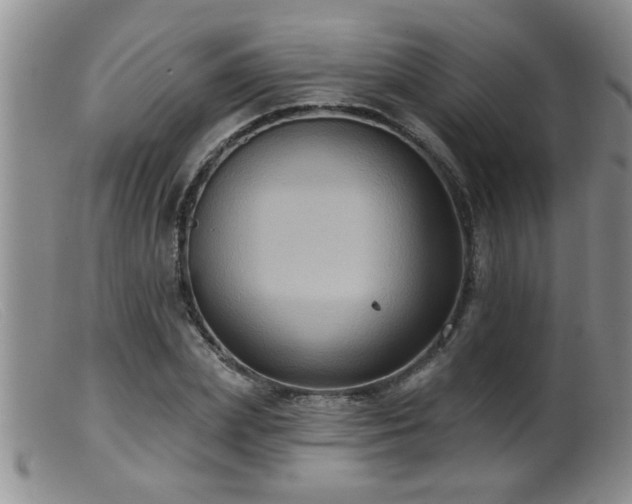 X0000099450831200805161020