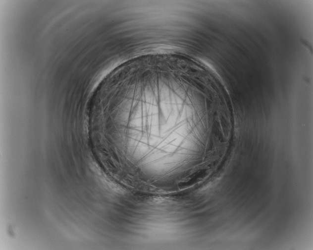 X0000099450835200805161020