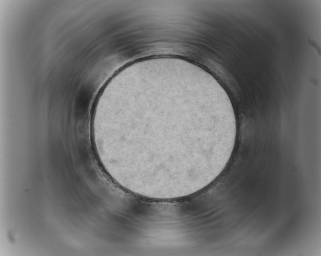 X0000099450836200805161020