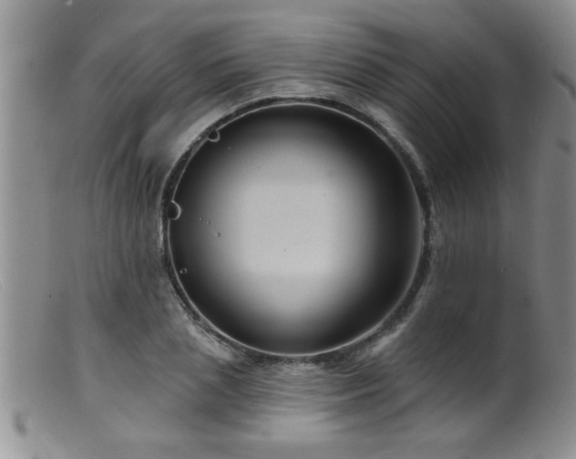 X0000099450837200805161020