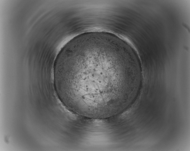 X0000099450839200805161020