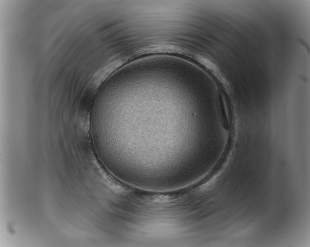 X0000099450841200805161020