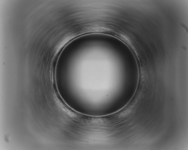 X0000099450843200805161020