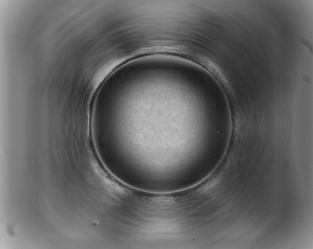 X0000099450844200805161020