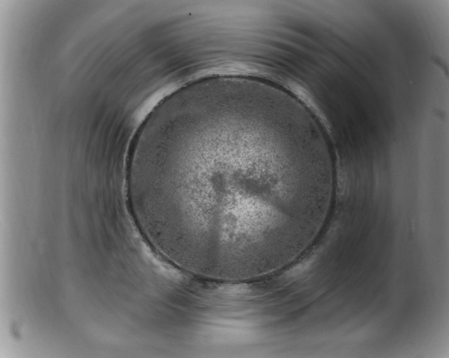 X0000099450845200805161020