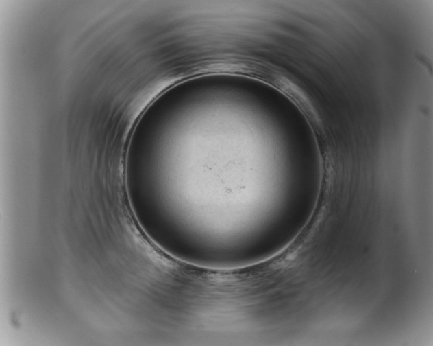 X0000099450852200805161020