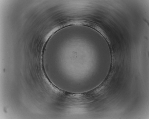 X0000099450853200805161020