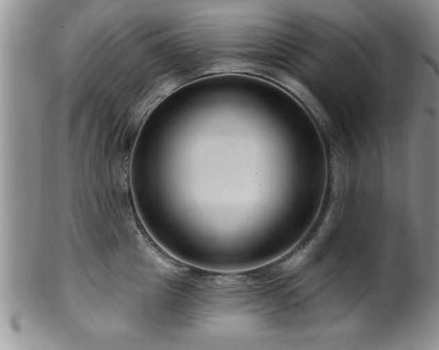 X0000099450857200805161020