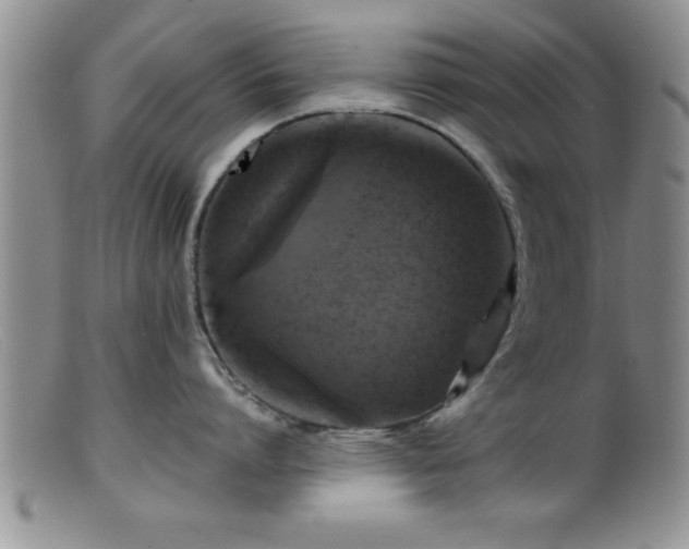 X0000099450864200805161020