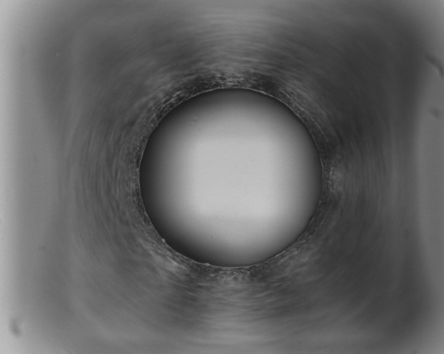 X0000099450865200805161020