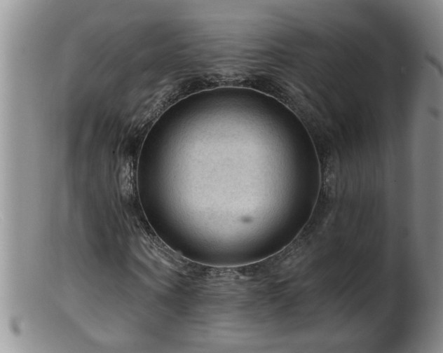 X0000099450866200805161020