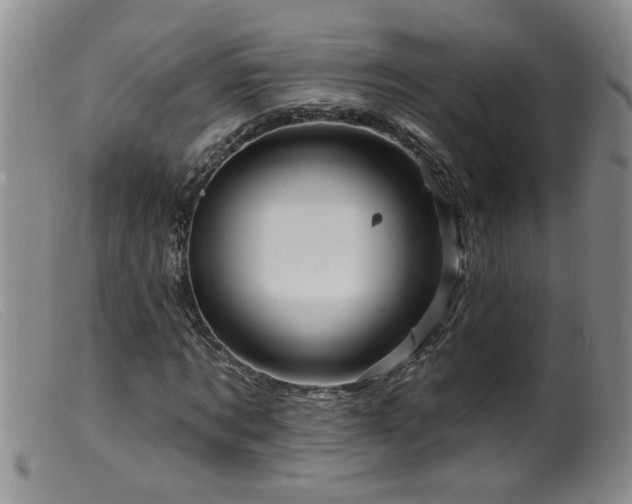 X0000099450869200805161020