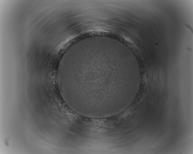 X0000099450870200805161020