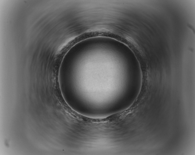 X0000099450872200805161020