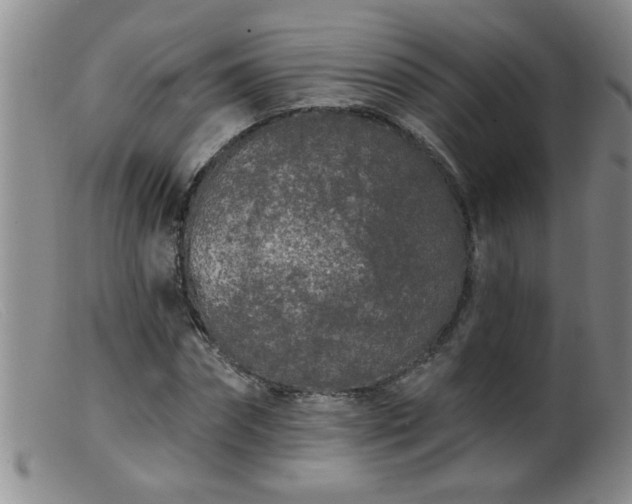 X0000099450874200805161019