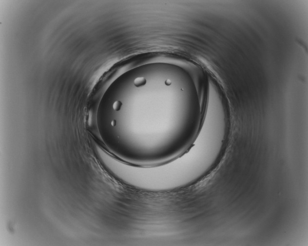 X0000099450875200805161019