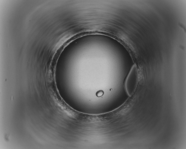 X0000099450876200805161019