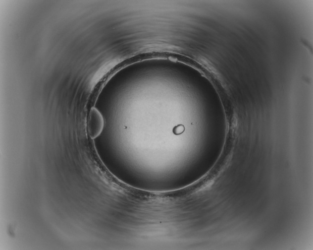 X0000099450877200805161019