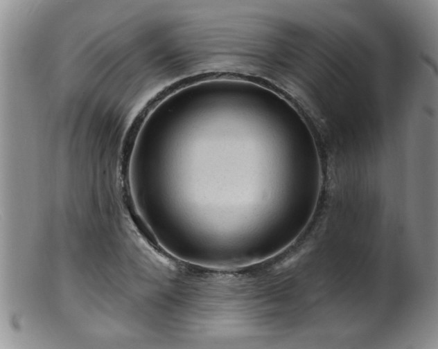 X0000099450880200805161019