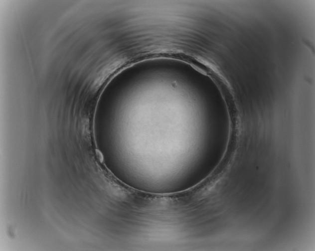 X0000099450881200805161019