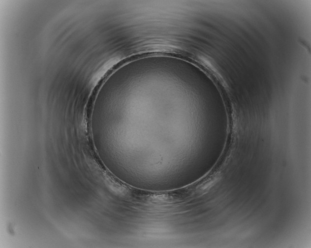 X0000099450883200805161019