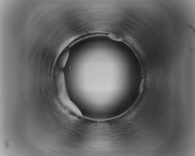 X0000099450884200805161019