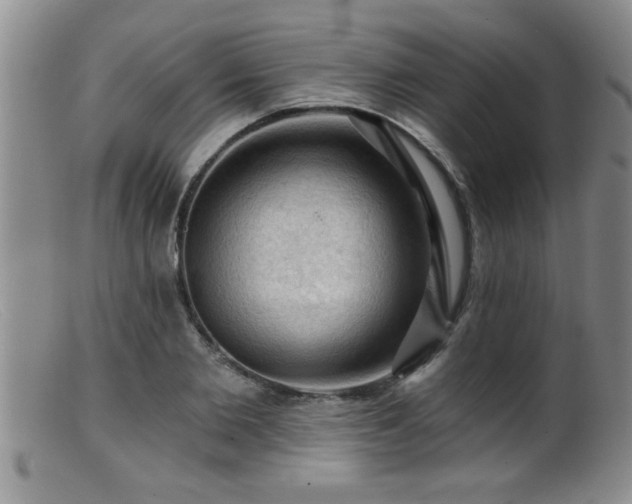 X0000099450885200805161019